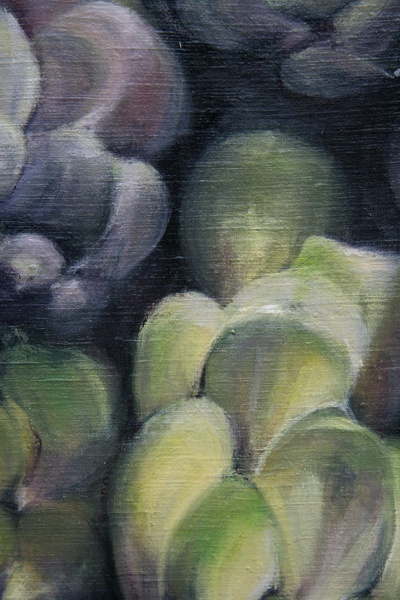 Asparagus Close-Up B