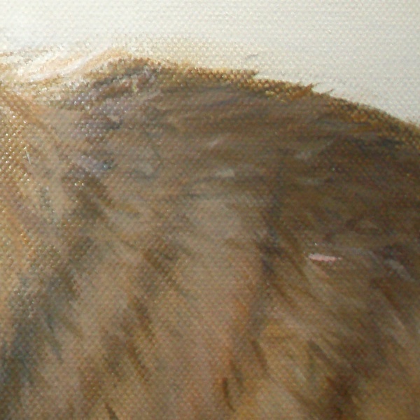Animal Portrait 1 Close-Up B