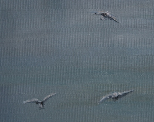 Flying Seagulls Close-Up B