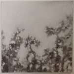 Foliage Close-Up B